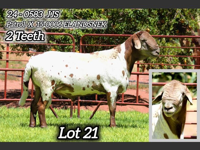 24-0583 JJS | KAMEELHOEK MEATMASTERS