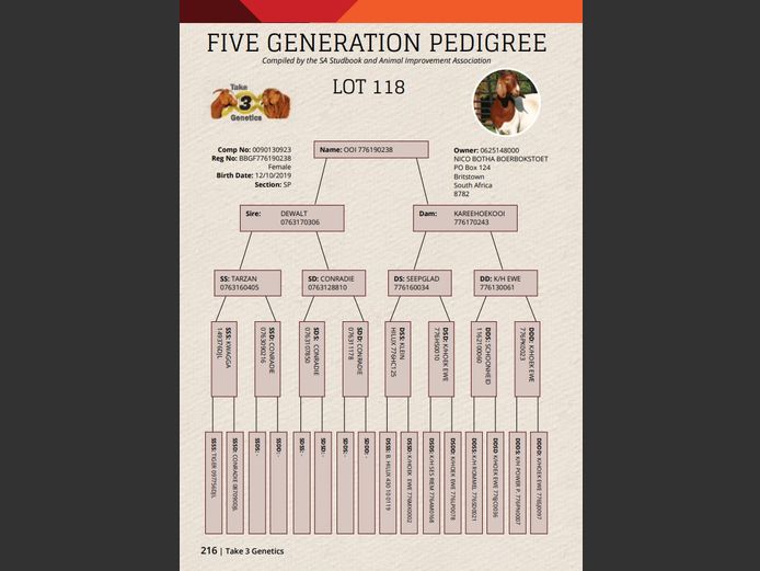 19-238