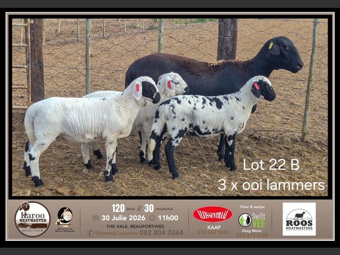 RMM 0398 | Mervyn Roos - Roos Meatmasters