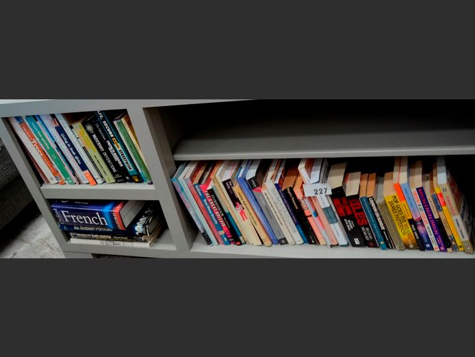 ASSORTED BOOKS: NOVELS, FRENCH DICTIONARY, etc