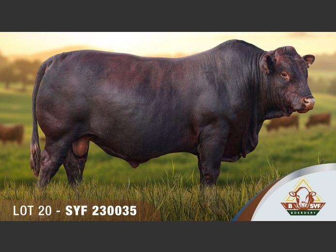 SYF230035 | BSYF BOERDERY