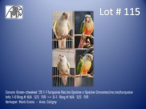 images