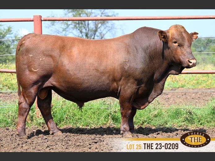 THE 230209 | J.A. PIENAAR