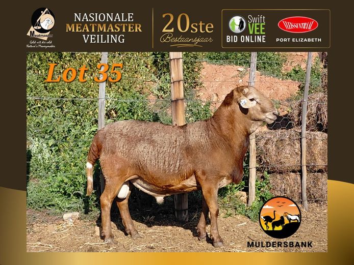 25 59 | Muldersbank Meatmasters