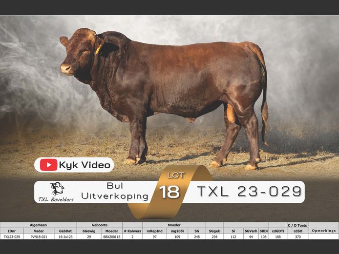 TXL23-029
