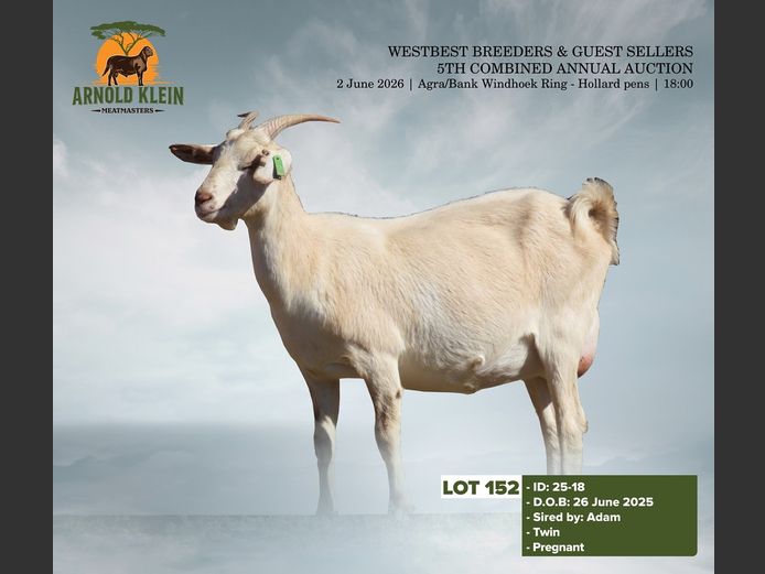 25-18 | Arnold Klein Meatmaster