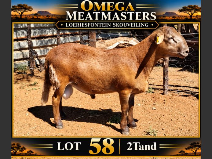 Omega Meatmasters