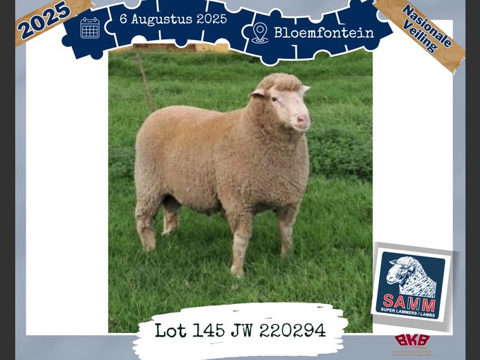 22-0294JW | HUGO WIEHAHN & SNS