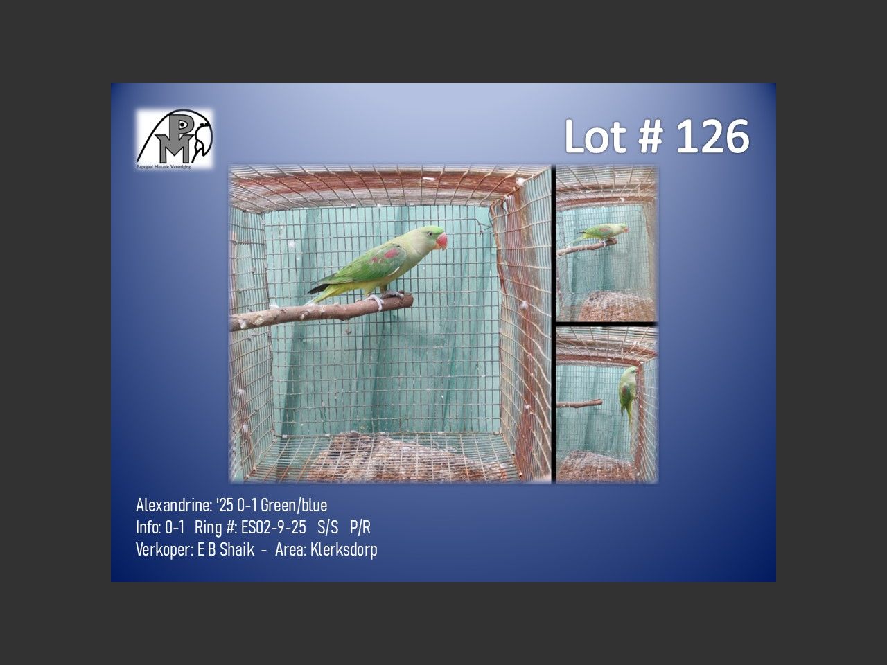 images