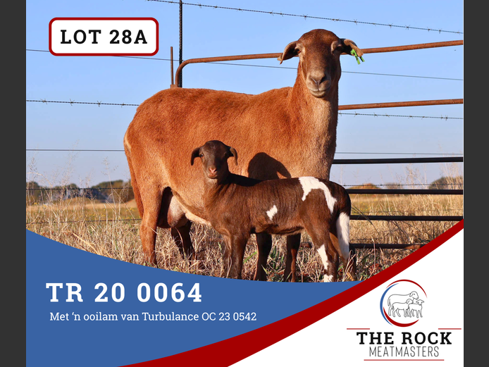 TR 20 0064 | The Rock Meatmasters