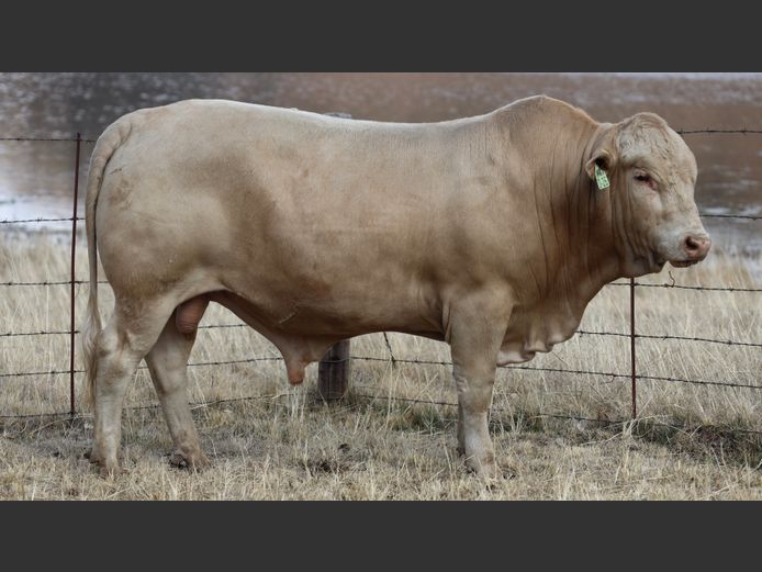 HBH 230026 | CLARK CATTLE COMPANY PTY LTD