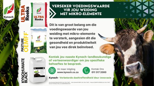 Kynoch