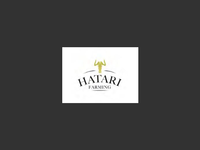 HE250234 | EKSTEEN’S HATARI DORMER STUD