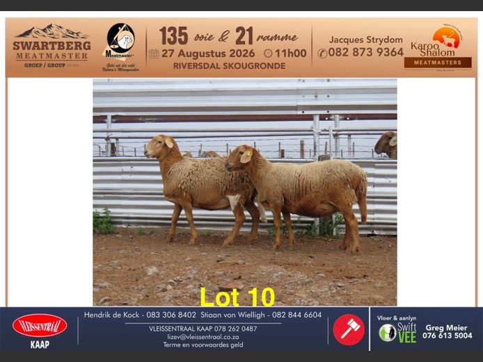 D25.173 | KAROO SHALOM