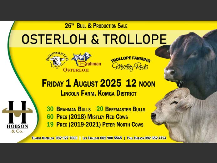 26TH OSTERLOH & TROLLOPE BULL & PRODUCTION SALE