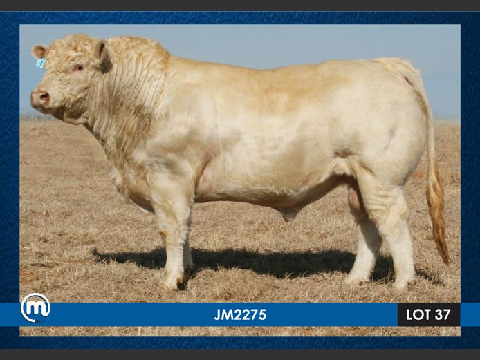 JM 220075