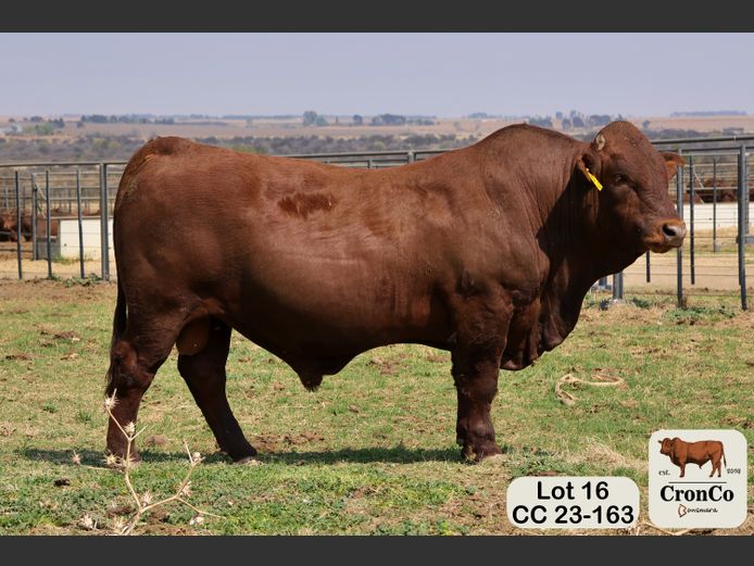 CC 230163 | CRONCO AGRI