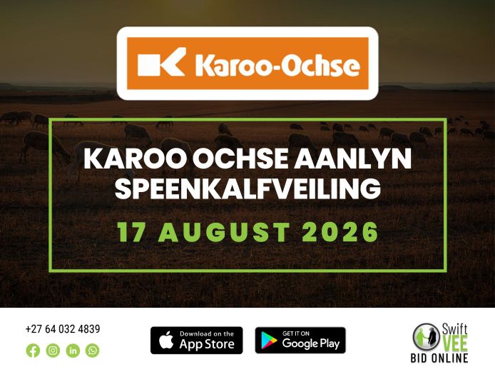 KAROO OCHSE AANLYN SPEENKALFVEILING