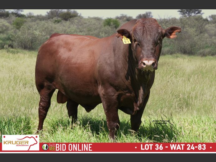 WAT 240083 | KRUGER BOERDERY