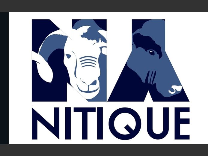 Biltong hunt for 6 springbuck and 2 blesbuck. 2026 Hunting Season | Nitique Farming