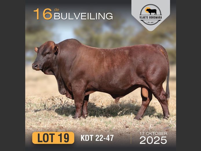 KDT 220047 | J.P.F. DU TOIT