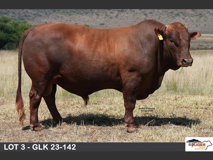 GLK 230142 | KRUGER GLEN BONSMARAS