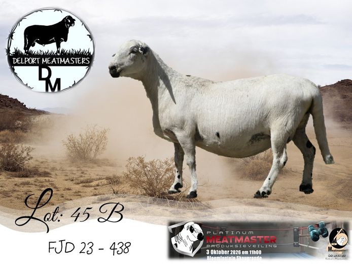 FJD 23-433 | Delport Boerdery