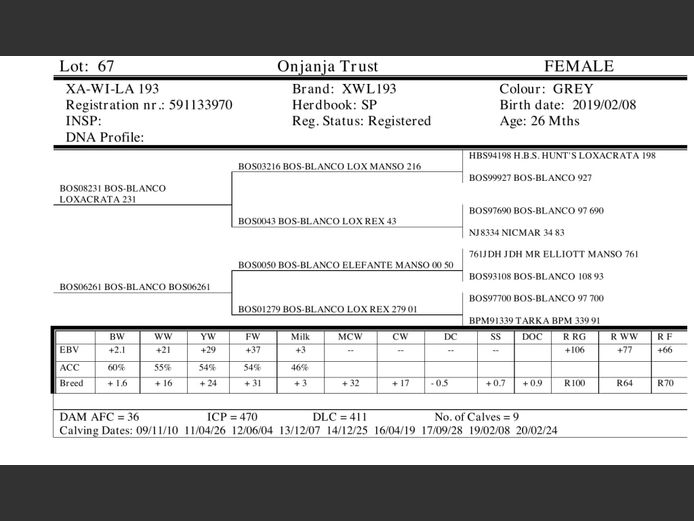 XWL193