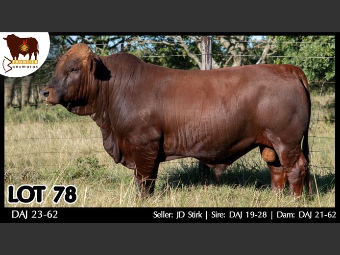 DAJ 230062 | J.D. STIRK