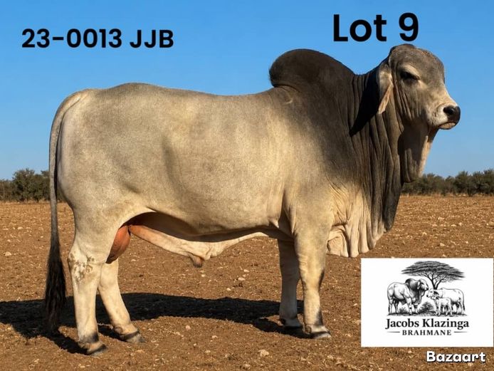 23-0013JJB | JACOBS KLAZINGA BRAHMANE