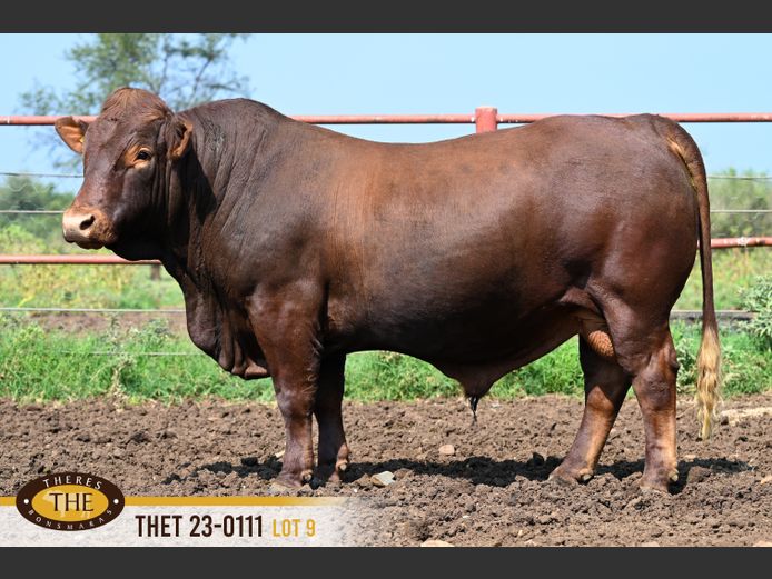 THET 230111 | APT TRUST