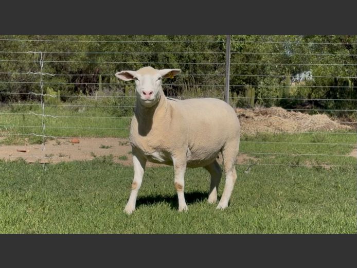 DH 230125 | HEYMAN DORMERS