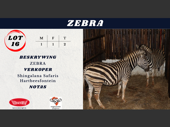 ZEBRA