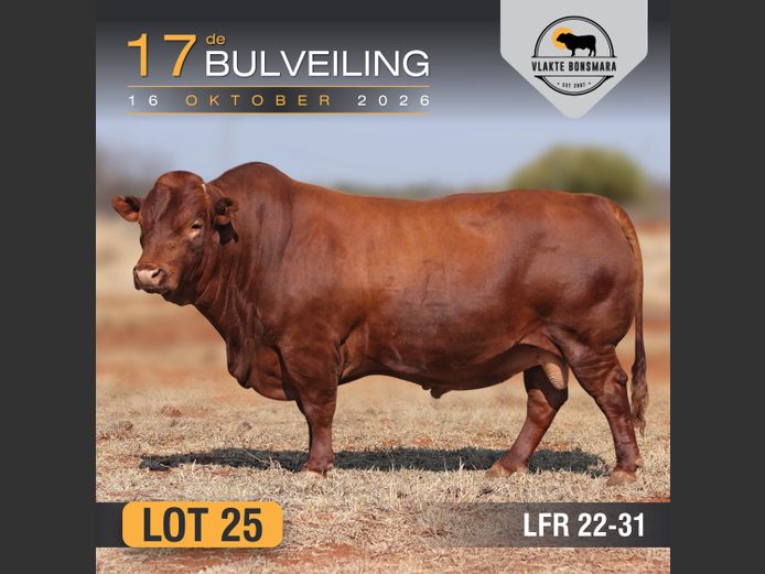 LFR220031 | LEON RIEKERT & SEUNS