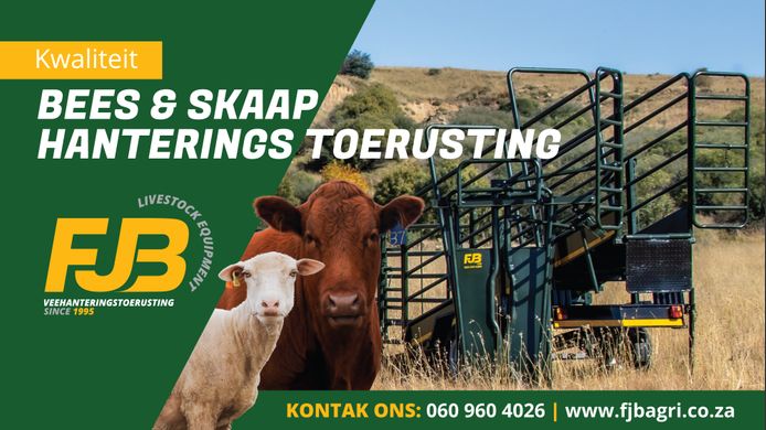 Products and Services