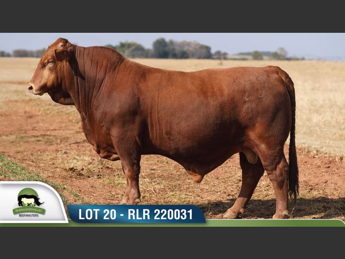 RLR 220031 | RHENOSTERVALLEI