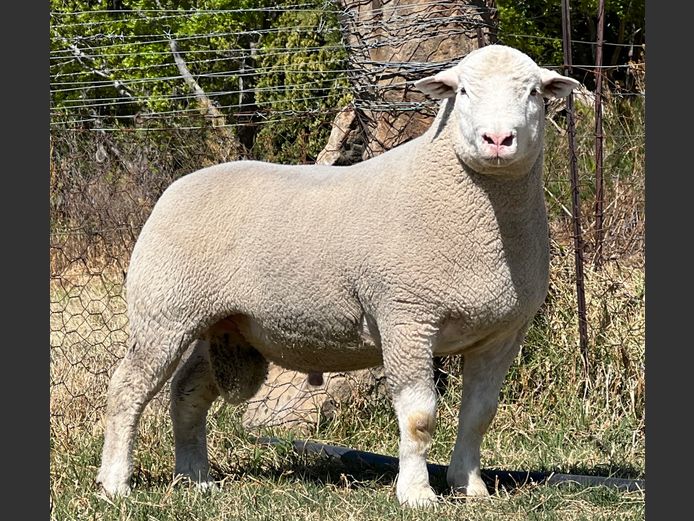 JB 240143 | J.A. BARNARD