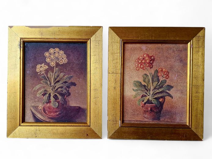 Oil on Canvas Framed Still Life Floral Paintings