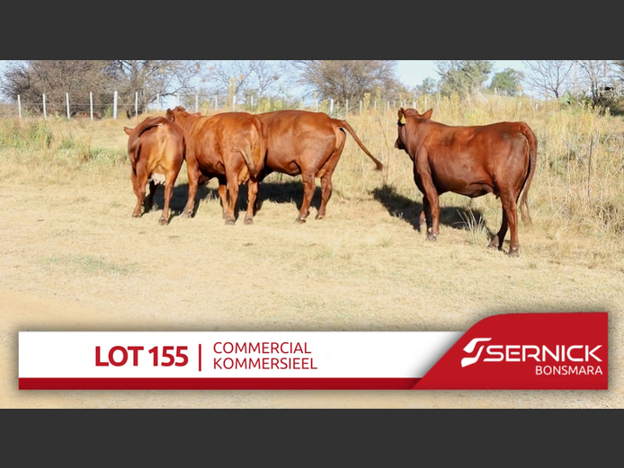 Commercial Animals