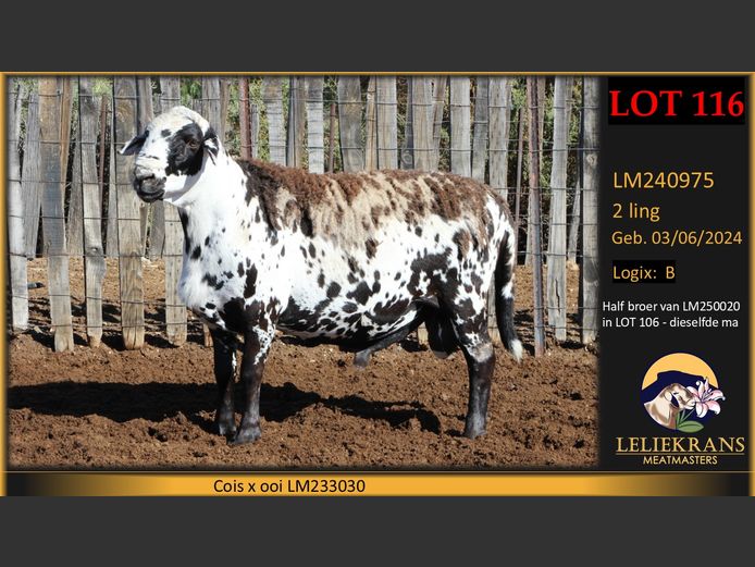 LM240975 | LELIEKRANS MEATMASTERS