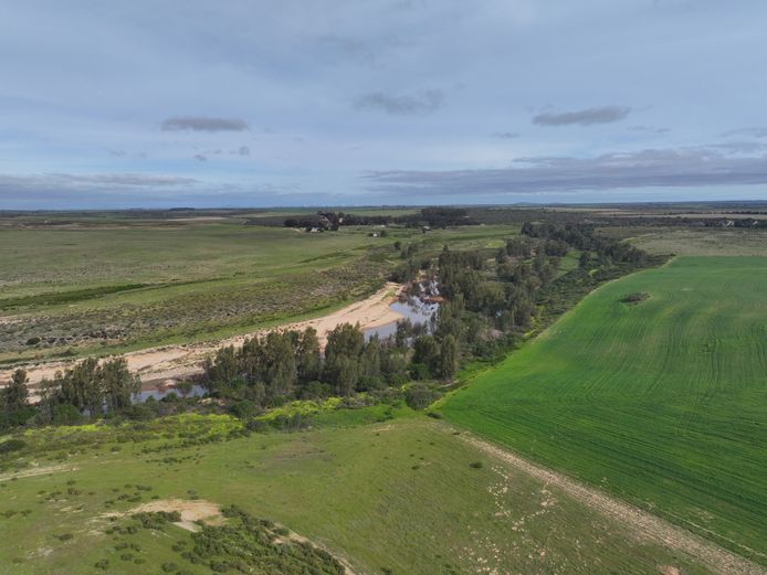 Ptn 8 Farm 136 Doornbosch Reg Div Piketberg RD 
