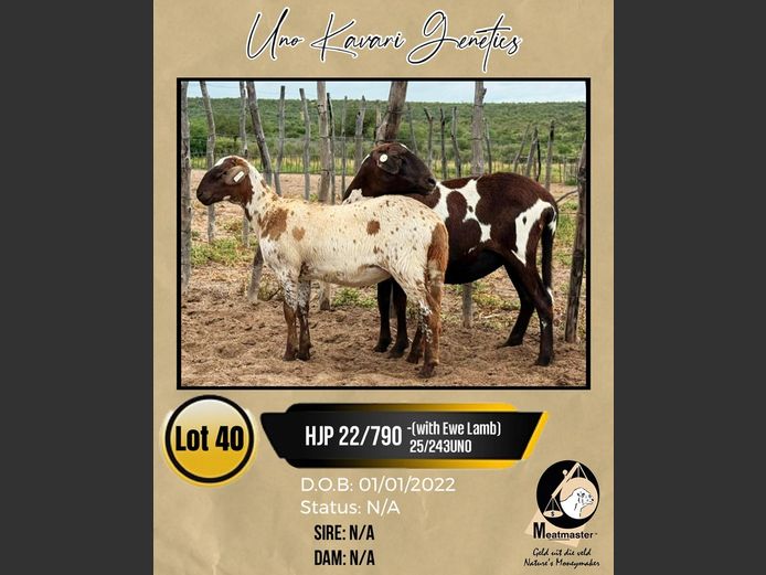 HJP 22/790 | UNO KAVARI GENETICS