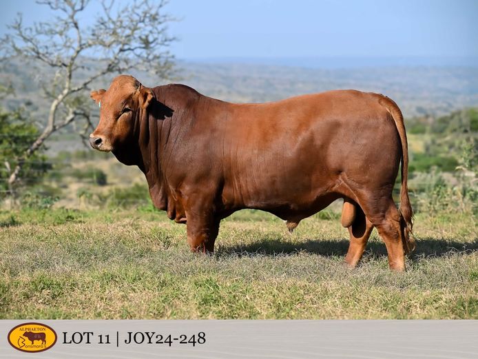 JOY240248 | FETTING LIVESTOCK TRUST