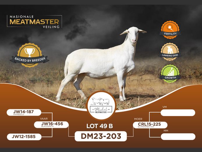 DM 230203 | MODEL MEATMASTERS