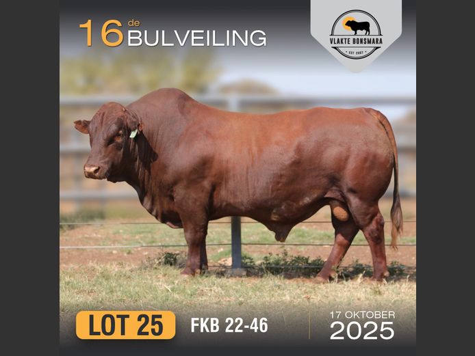 FKB 220046 | FRITS KROON BOERDERY