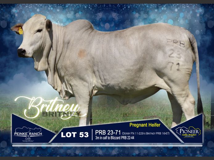 PRB 230071 | PEINKE RANCH