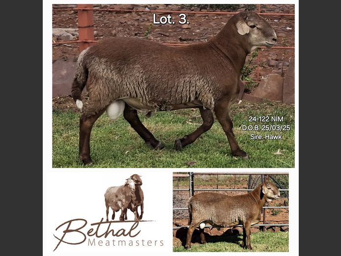 24-122 NIM | BETHAL MEATMASTERS