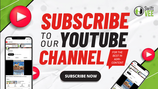Subscribe to our Youtube