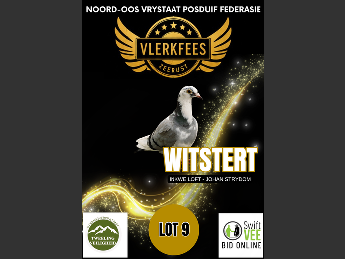 WITSTERT | INKWE LOFT - JOHAN STRYDOM