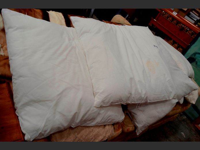 CONTINENTAL PILLOWS, SCATTER CUSHIONS, etc